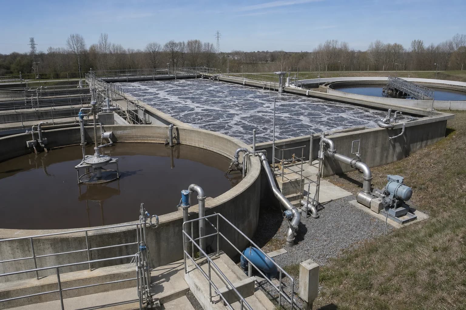 How do microorganisms release and take up phosphorus?