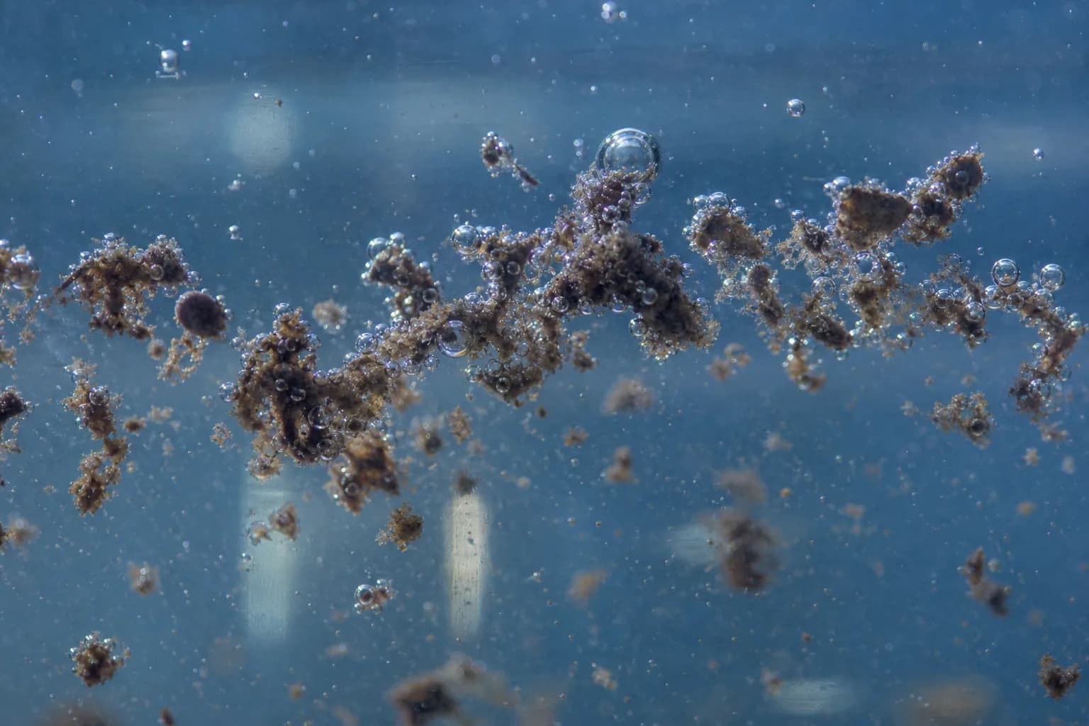 Microscopically, bubbles do not push solids; attached complexes rise together：Floc or oil-droplet core、Attached microbubbles、Free unattached bubbles、Low-density rising complex