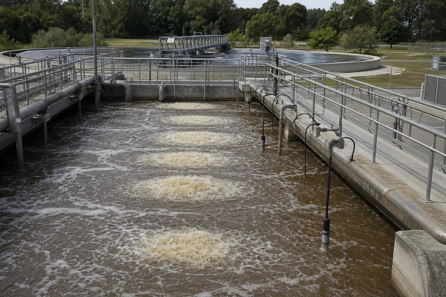 How do microorganisms clean wastewater?