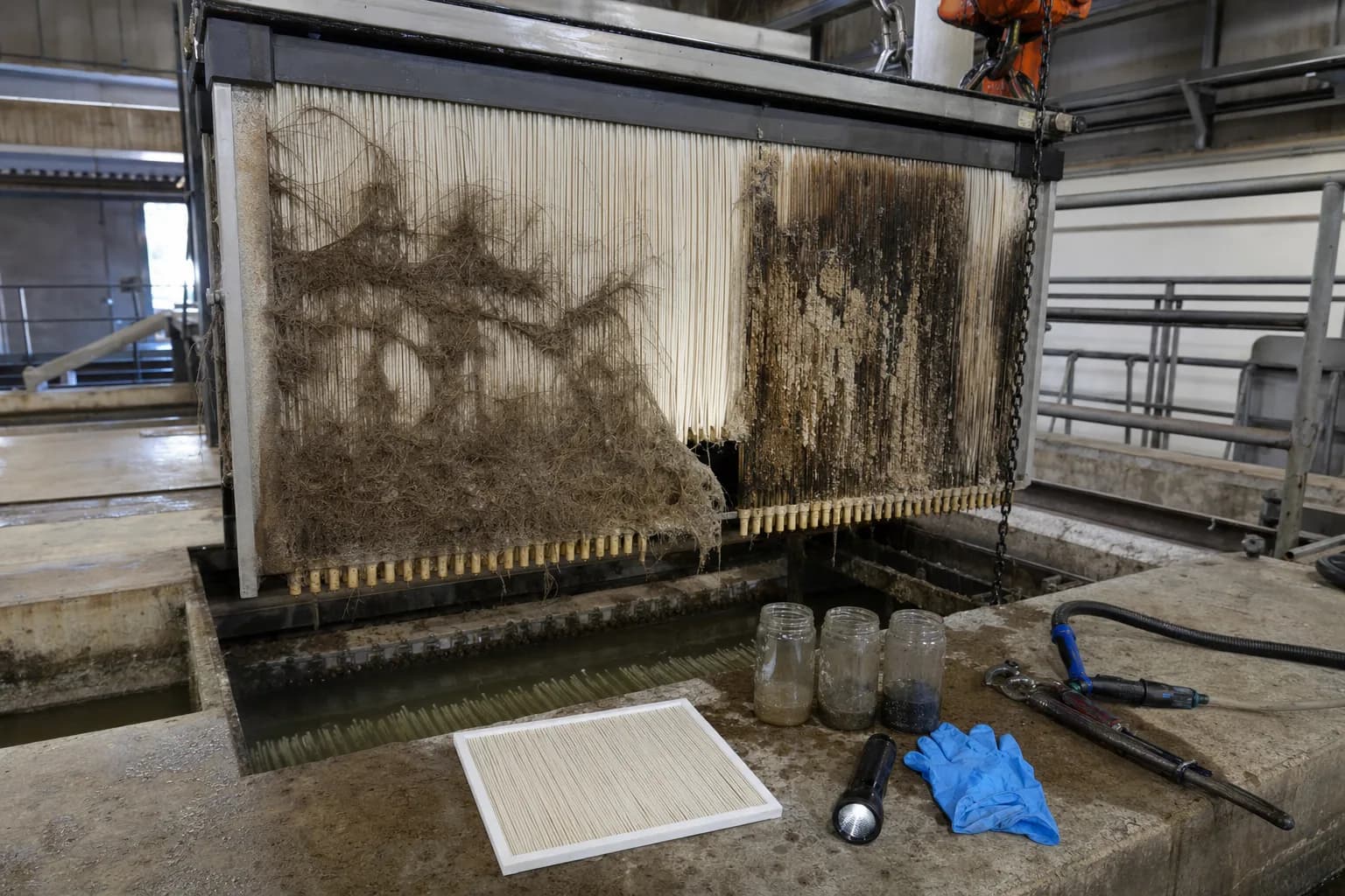 After lifting, distinguish ragging, slime and scale：Hair and fiber ragging、Slime/biofilm deposit、Clean membrane reference、Sludge and cleaning samples
