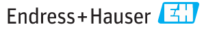 Endress+Hauser logo